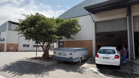 WhatsApp Image 2026-02-05 at 12.13.55.